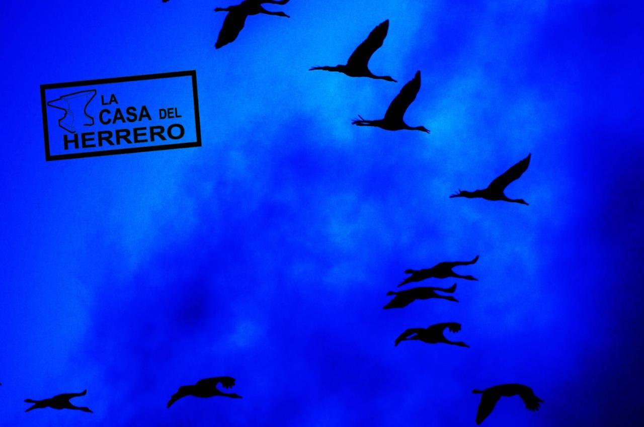 La Casa Del Herrero El Poyo Kültér fotó
